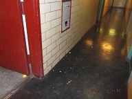 Every Day These Substance-Abusing Slobs Pour Their Loose Garbage And Swill Everywhere To Feed The Rats, Mice, And Roaches!! The Manager Is Very Afraid Of Them; So He Does Nothing About It!!
