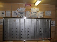He Leaves The Doors Open For The Mail Thieves!! He Gives The Packages To The Extortionist Thomas!! He Refuses To Pick Up Undeliverable Mail For Return!!