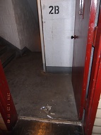 The New York City Housing Authority And Its Organized Crime Bosses Keep These Buildings Real Slimy And Filthy To Help Promote The Sale And Use Of Their Illegal Narcotics!!