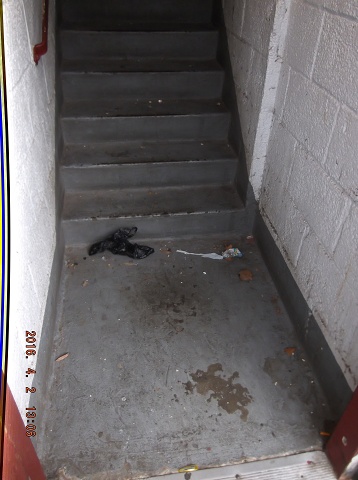 Our NYCHA Caretaker Is Missing In Action Again!!