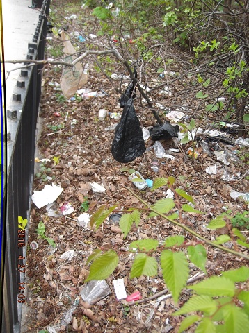It Is April 27, 2016 And Satans Swill Has Not Been Cleaned Up Yet!!