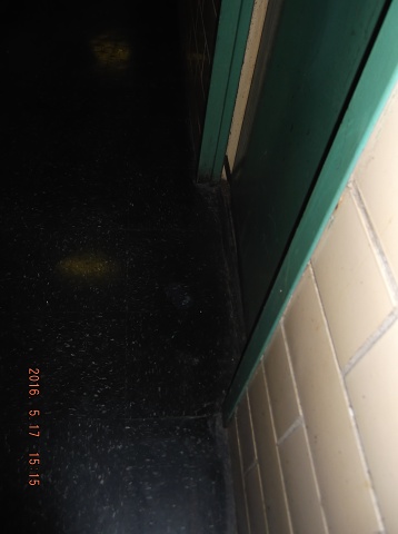 AND YET MORE 2C SPIT IN FRONT OF MY DOOR!! 