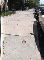 Fixing The Busted Sidewalks Has Nothing To Do With Promoting Prostitution, Illegal Gambling, Or The Rampant Selling Of Illegal Narcotics; So The City Of New York Just Continues To Ignore It's Legal Responsibilities!! Welcome To Satanville!!
<a href="http://www.paynal.com/parables.php?id=323">http://www.paynal.com/parables.php?id=323</a>