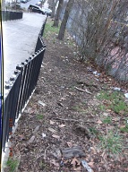 This Nasty Filth Is On The Side Of 151 Jersey Street And Along Side The Mahoney Playground!!