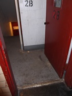 These Photos Were Taken On Friday April 27, 2018 And They Show Once Again That Our " N.Y.C.H.A. No Show Caretaker " Is Not Properly Cleaning This Building. Some Of This Filth Has Been Here For A Week!!