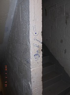 The Violent Young Drug Addicts I Call " Satan's Savages " Have Spread Their " Ugly Turf " To The Upper Floors And Stairwells Of This Very Notorious N.Y.C.H.A. Building!!  Mayor Di Blasio's Police Department Continues To Ignore This Vile Situation!!