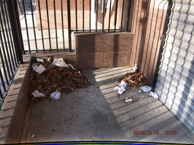 Our Caretaker Ignores This Filth Every Day!!